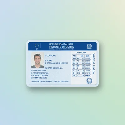Driver's Licence