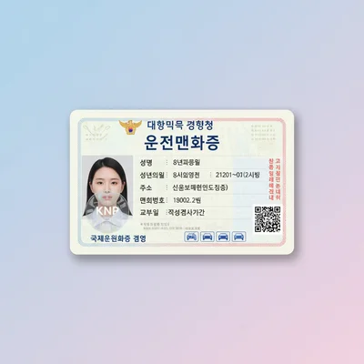 Korean Driver's License